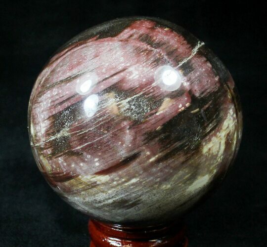 Colorful Petrified Wood Sphere #20613